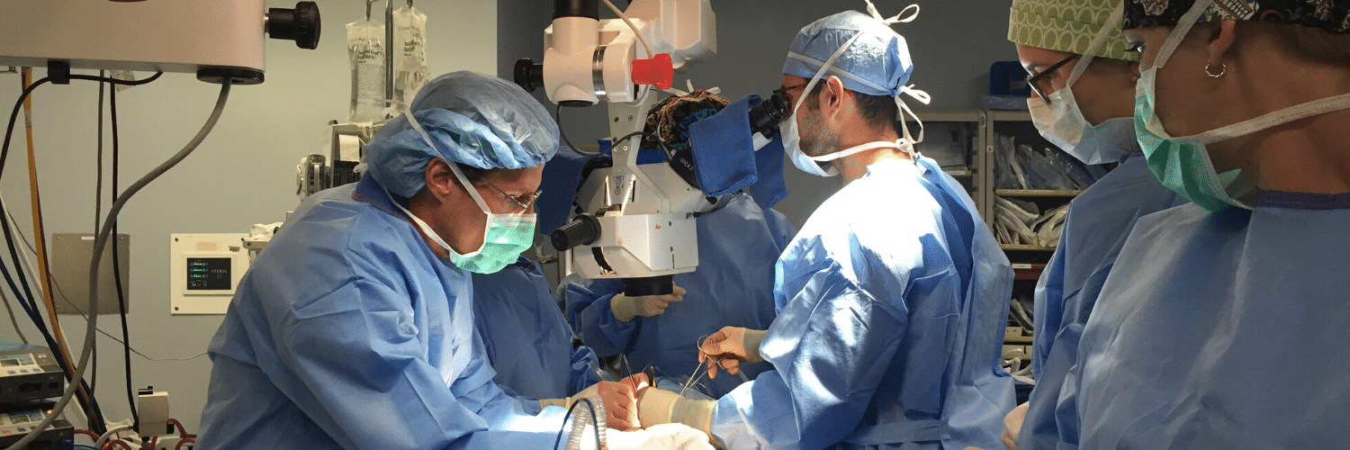 Record 727 Flap Breast Reconstruction Procedures in 2019 PRMA Plastic Surgery